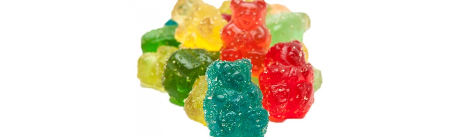 gummie buddie-1600x480