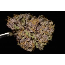 PURPLE DURPLE (PD)