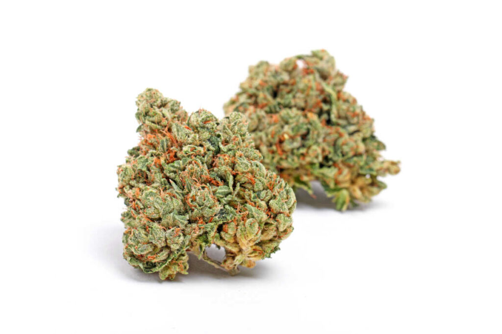 Alien OG is a powerhouse indica-dominant hybrid known for its extremely high THC levels, often testing between 25-30% THC or higher. A cross between Tahoe OG Kush and Alien Kush, this strain delivers a potent combination of euphoria, deep relaxation, and cerebral stimulation, making it a top choice for experienced users with a high tolerance.