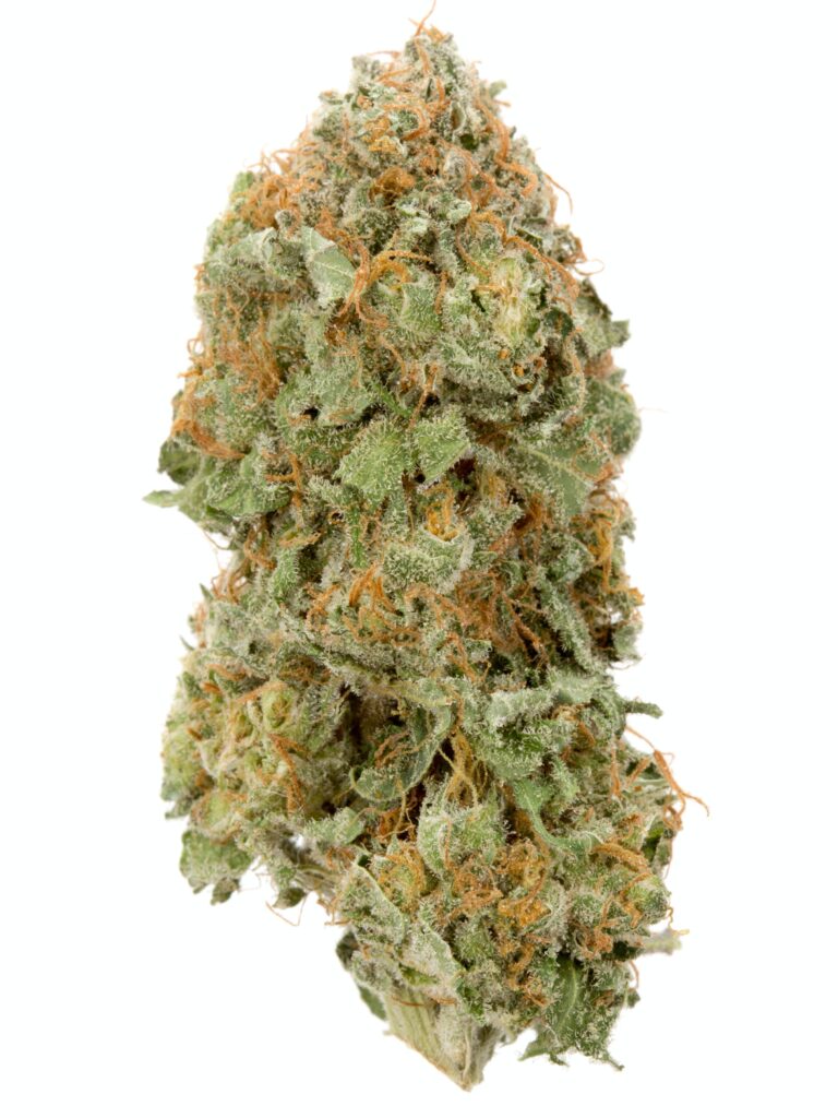 Strawberry Kush is a popular hybrid strain known for its sweet, fruity aroma with a hint of earthy undertones. It offers a balanced effect, often providing relaxation without heavy sedation, making it great for daytime use. This strain typically combines the relaxing effects of Kush with the uplifting, creative buzz from its strawberry genetics. It's well-loved by both recreational and medicinal users for its ability to relieve stress and enhance mood. Its dense, resin-covered buds are often a beautiful mix of green and purple hues.