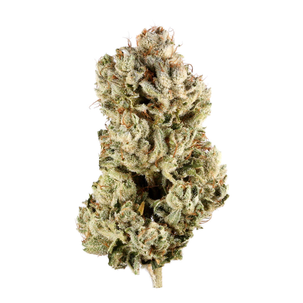 gg-4 - DGC Gorilla Glue (also known as GG4) is a highly potent hybrid strain, renowned for its exceptional THC levels, often ranging between 25% and 30%, making it a favorite among experienced cannabis users with a high tolerance. This strain is a cross between Chocolate Diesel, Sour Dubb, and Chem's Sister, and it is celebrated for its powerful effects and strong, sticky resin production.