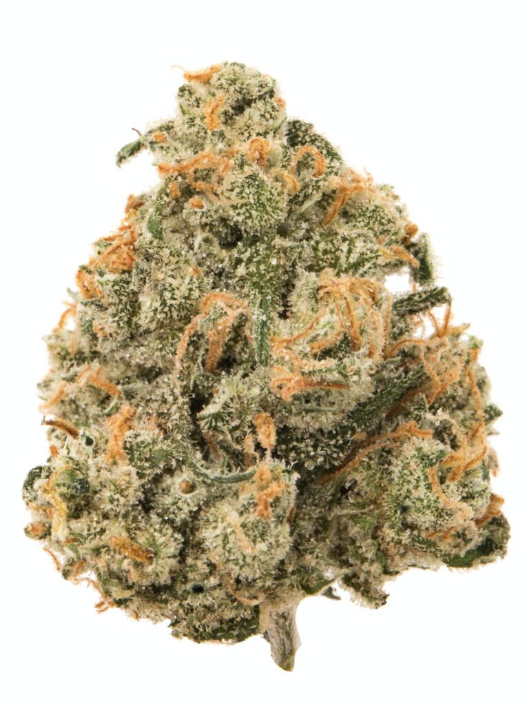 Jack Herer (JK) is a legendary and highly popular sativa-dominant hybrid known for its balanced and uplifting effects. Named after the famed cannabis activist and author, this strain combines the best of both worlds: a cerebral, euphoric high from its sativa genetics and a calming body relaxation from its indica lineage.