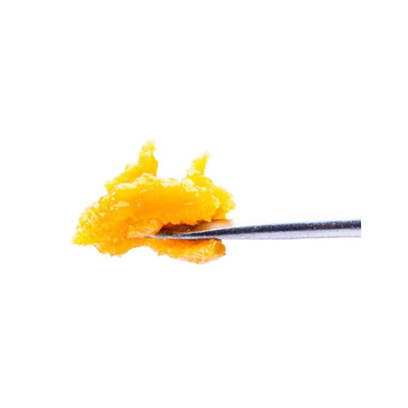 gelato-33new-budderjpg - DGC